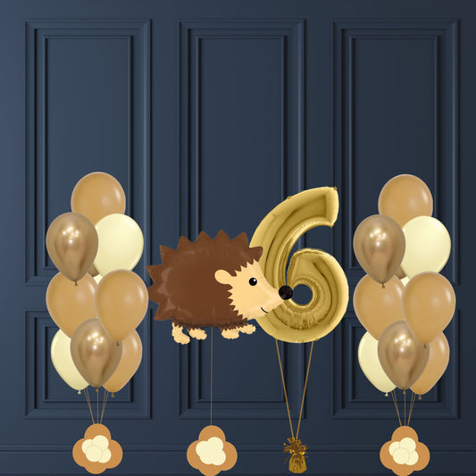 Set Anniversaire Hérisson d’Automne
