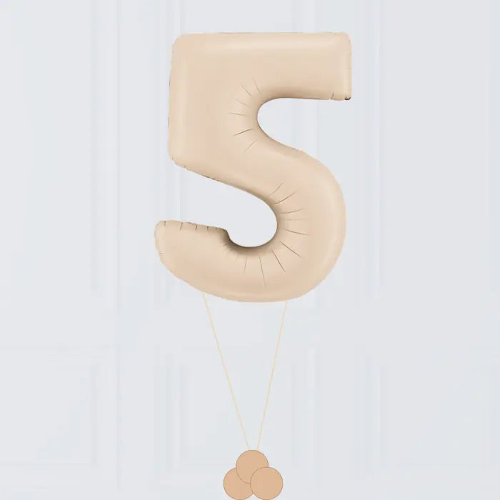 Large Lilac Balloon Number