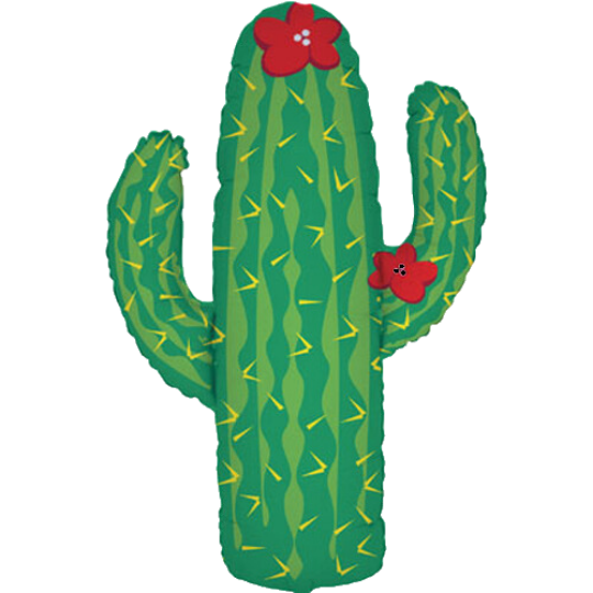 Cactus Balloon