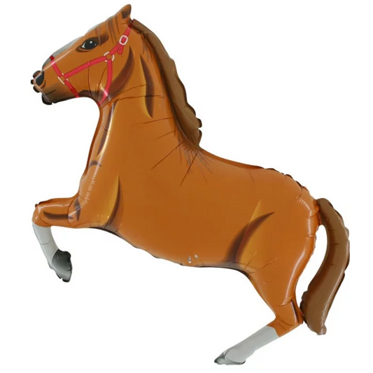 Ballon Cheval